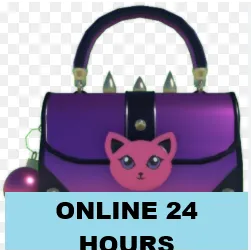 SHINY PURSE - BADDIES