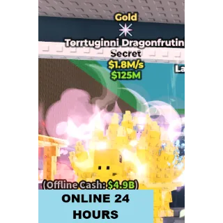 GOLD TORRTUGINNI DRAGONFRUTINI 1.8M