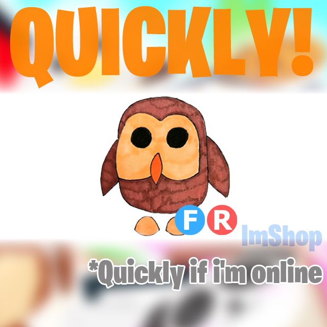 lol owl pet