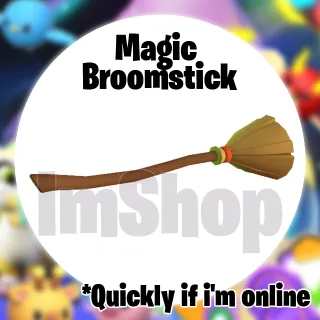 Magic Broomstick