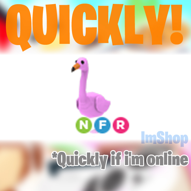 Pet Flamingo Nfr In Game Items Gameflip - flamingo items roblox