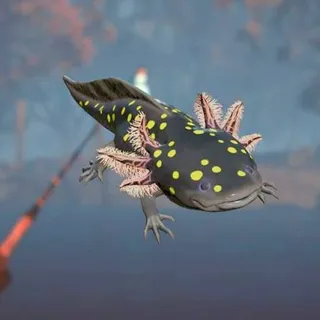 Dotted Axolotl