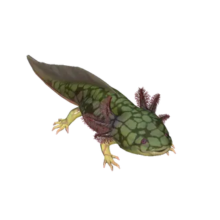 Scaled Axolotl 