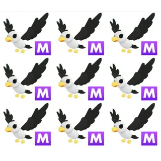 9x Mega Pilot Gull