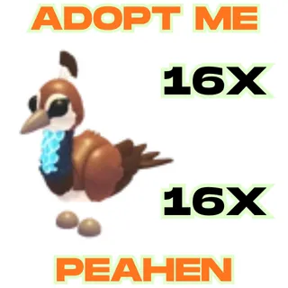 16x Peahen