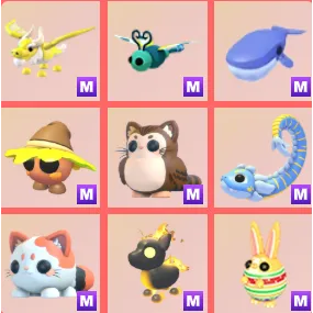 9x Mega Legendary Bundle - Adopt Me