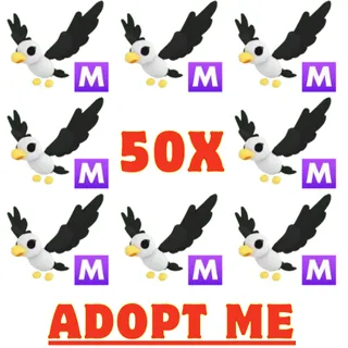 50x Mega Pilot Gull
