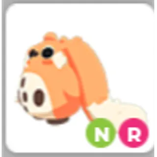 NR Cabbit