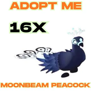 16x Moonbeam Peacock