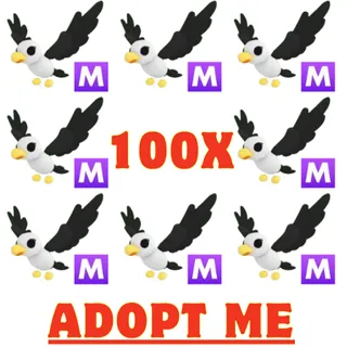 100x Mega Pilot Gull