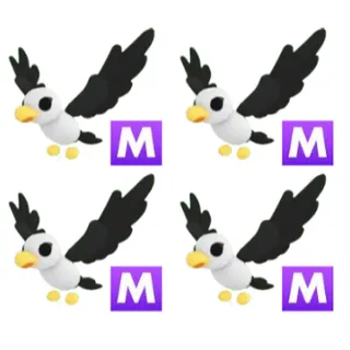 4x Mega Pilot Gull