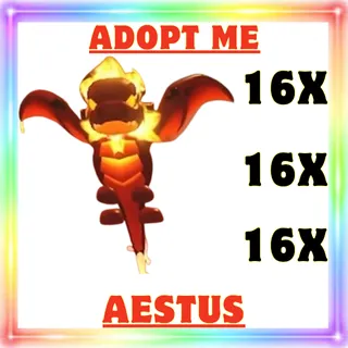 16x Aestus