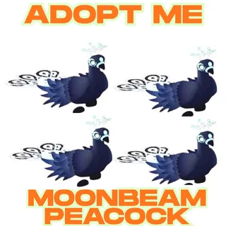 4x Moonbeam Peacock