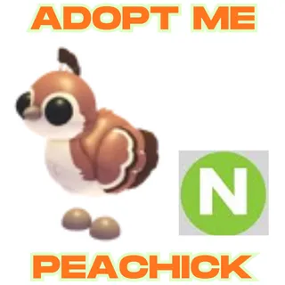 Neon Peachick