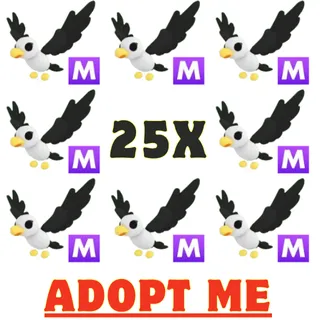 25x Mega Pilot Gull