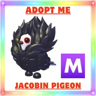 Mega jacobin Pigeon