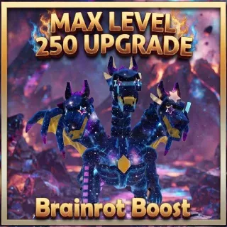 Max Level Boost Service, Fast & Safe