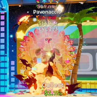 Pavonaccio Summer 4 Traits
