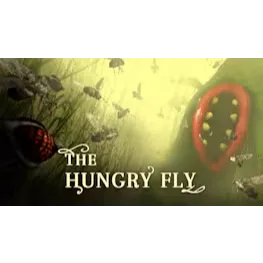 The Hungry Fly