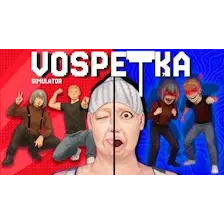 VOSPETKA Simulator