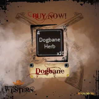x50 Dogbane Herb - Bridger: Western
