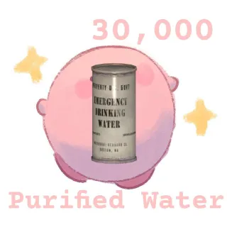 Purified Water