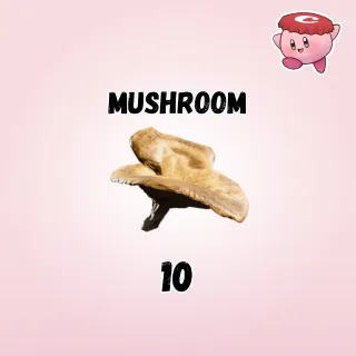 .10 Mushroom