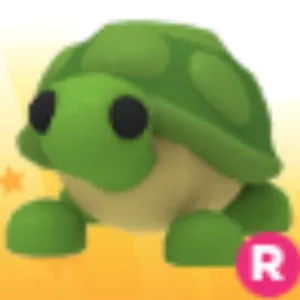 RIDE TURTLE (NO FLY)