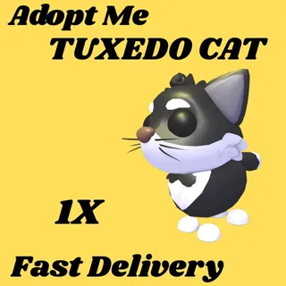 TUXEDO CAT 1x- Adopt me