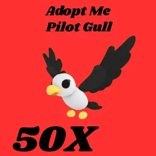 pilot gull  50x - Adopt me
