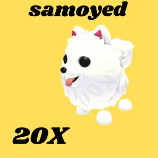 samoyed 20X  - Adopt Me