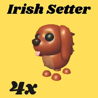 Irish Setter 4x- Adopt Me
