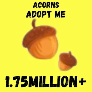 Acorns-adopt me