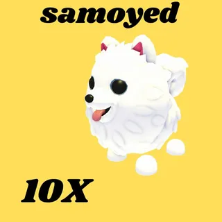 samoyed 10X  - Adopt Me