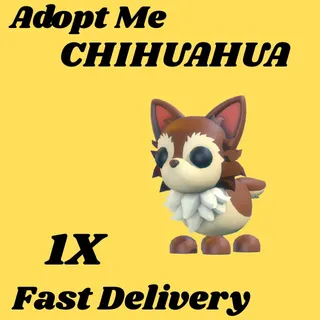 CHIHUAHUA 1X-ADOPT ME
