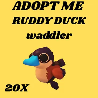 waddler ruddy duck 20x- Adopt Me