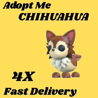 CHIHUAHUA 4X-ADOPT ME