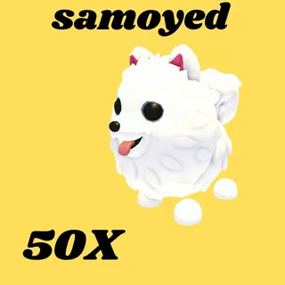 samoyed 50X  - Adopt Me