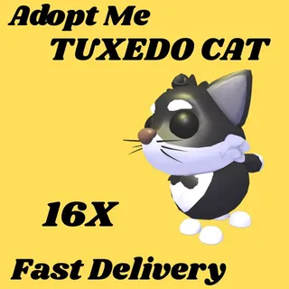 TUXEDO CAT 16x- Adopt me