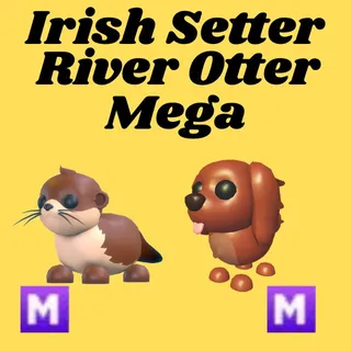 irish setter And river otter mega- Adopt Me