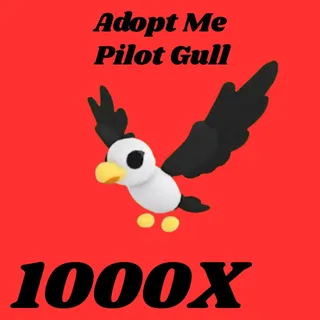 pilot gull  1000x - Adopt me