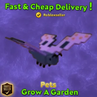 x10 Butterfly Grow A Garden