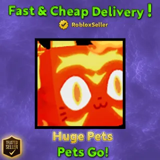 huge inferno cat pets go!