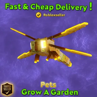 Dragonfly Grow A Garden