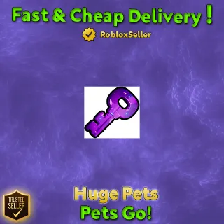 x10  Secret Keys Pets Go!