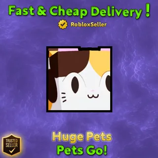 Huge Calico Cat Pets Go!