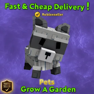 Raccoon Grow A Garden