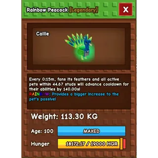 🌟 113KG RAINBOW PEACOCK || GAG 🌟