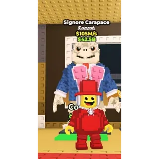 SIGNORE CARAPACE || SHOPVORTEX || CHEAPEST 