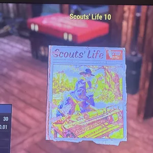 Scouts life 10